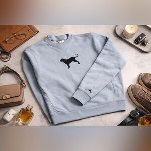 Light Blue Sweatshirt- The Black Dog